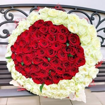 Букет 101 красно-белая роза код товара  207959y