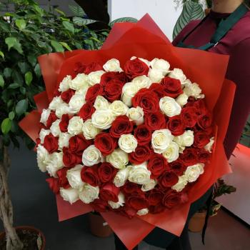 Букет из 101 розы (красные и белые розы) код товара  121339ya