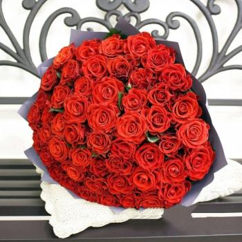 Красная роза Эквадор 51 шт код: 211509y